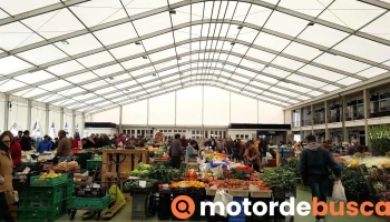 Cascais market - Portugal