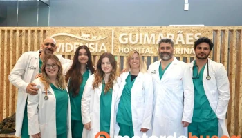 Evidensia Guimarães Hospital Veterinário - 4800-070 Guimarães