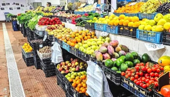 Mercado de Vila Nova de Milfontes - 7645-218 Vila Nova De Milfontes