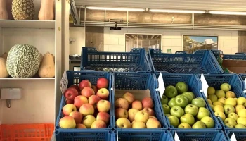 Mercado Jardim - Junta de Freguesia de Alvalade - R. Antero De Figueiredo 12