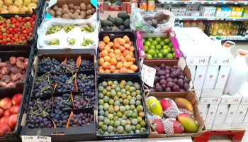 Sabores da Terra - Bragança