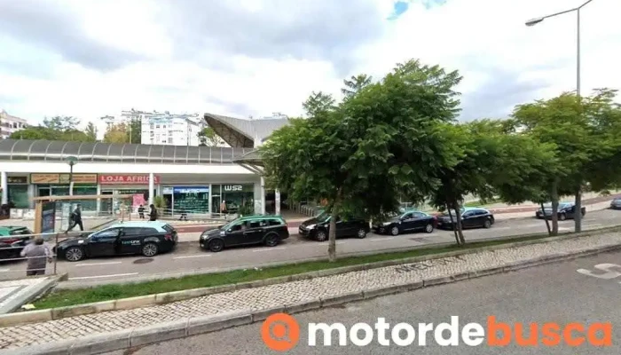 Beja Tavares De Castro - Sociedade Farmacêutica S.a - Rio De Mouro