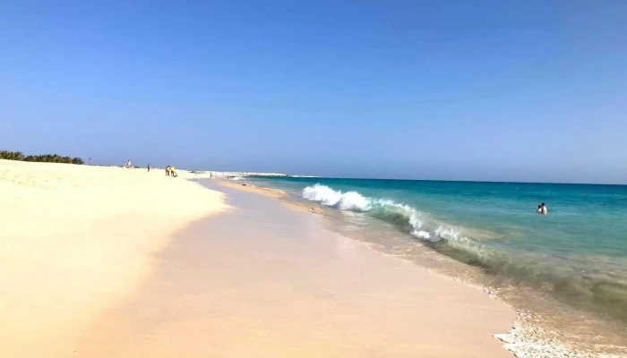 Boavista Dos Pinheiros -  Tudo - Portugal