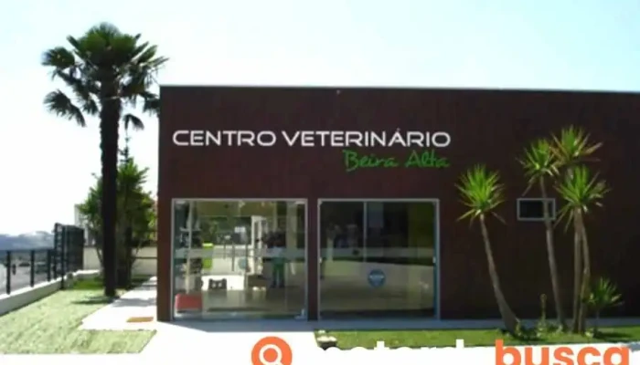 Centro Veterinário Beira Alta - Animal Vip - Viseu