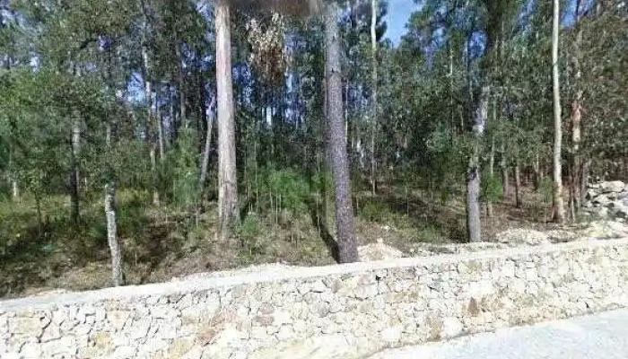 Farmacia Central Street View E 360deg - Edifício Belavista, Fração C/d