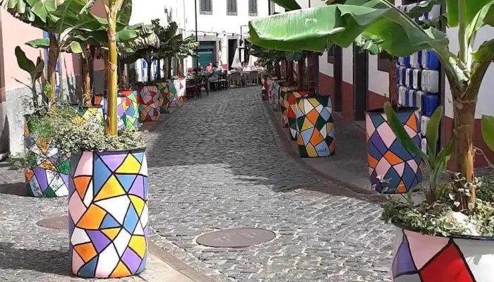 Farmacia Moderna Tudo - Câmara De Lobos