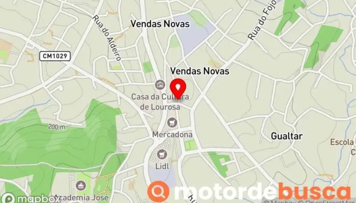 Farmacia Teles Mapa - Lourosa