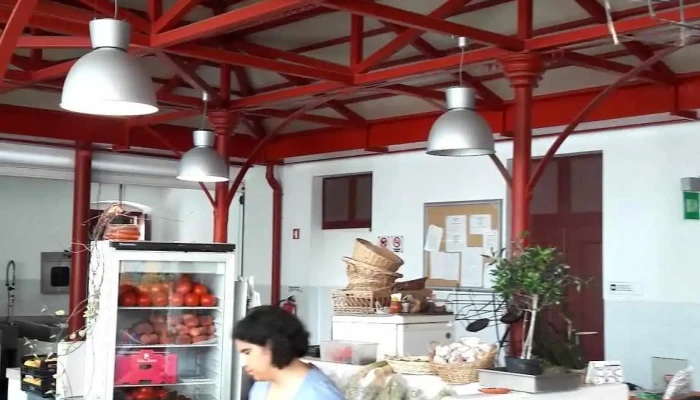Mercado Municipal - Portugal