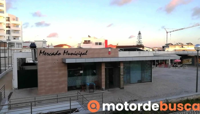 Meu Oeste - 2530-221 Lourinhã