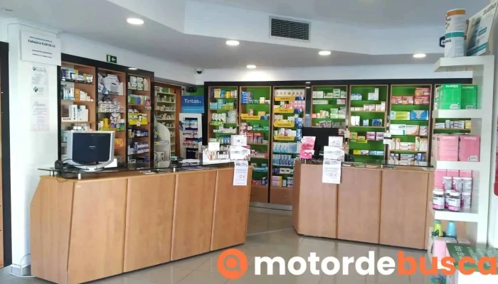 Posto Farmaceutico Da Farmacia Flor De Lis Do Proprietario - Milharado